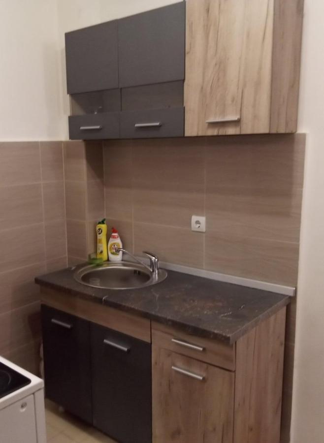 Lux Apartment Rose 2 60M2 Kragujevac Dış mekan fotoğraf