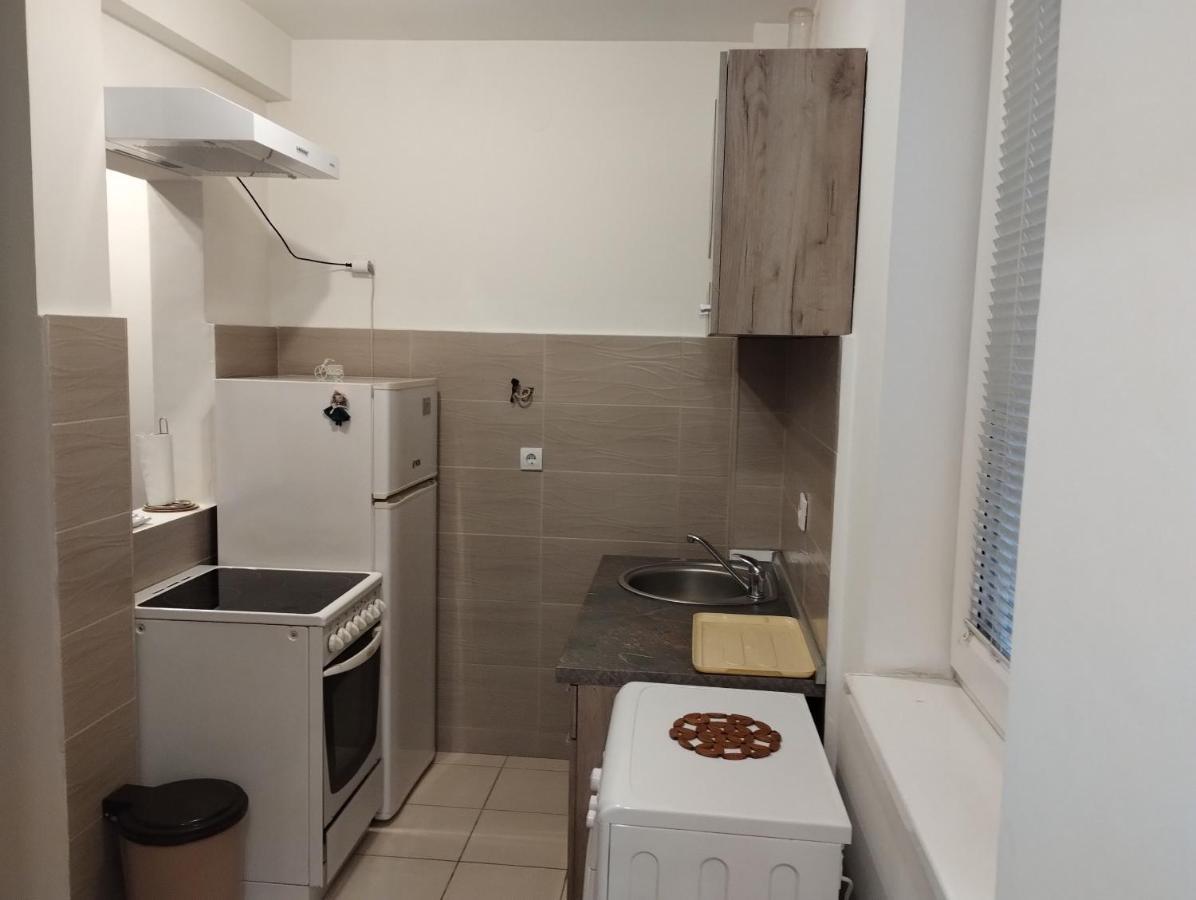 Lux Apartment Rose 2 60M2 Kragujevac Dış mekan fotoğraf